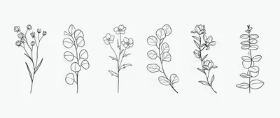 Как нарисовать поэтапно цветок Калла. Техника рисования - акварельные  карандаши на крафтовой бумаге. | Рисуем вместе | Дзен