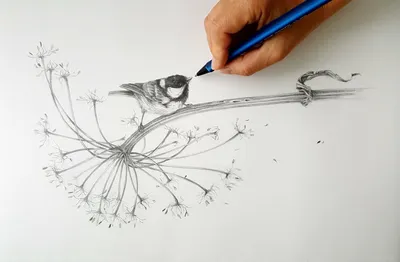Рисунок карандашом - ЯПлакалъ
