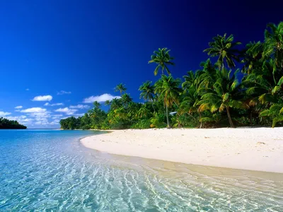 10 лучших островов Карибского бассейна. ФОТО - ForumDaily