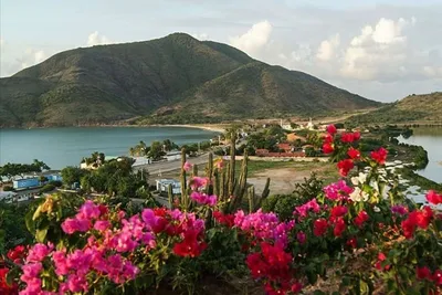 Аруба: жемчужина Карибских островов | Турагентство — «Туры для всех»
