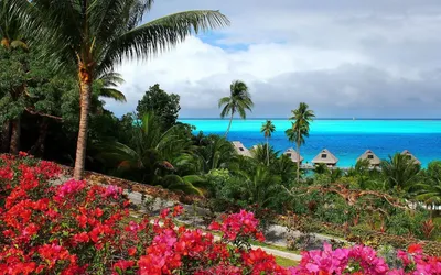 🏝Сент-Люсия - затерянный мир среди Карибских островов. Очаровывает любого,  кто ступает на ее побережье, убаюкивает мелодией волн и дарит… | Instagram