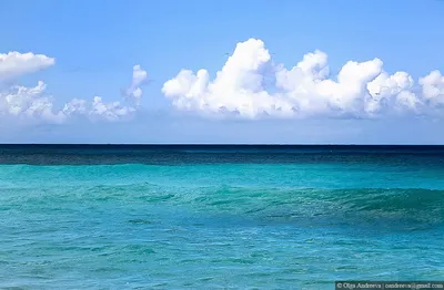 Почему на пляжах Карибских островов песок разного цвета? - FOX TRAVEL