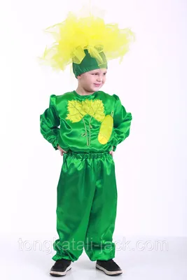 Карнавальные костюмы для детей - обзор от специалистов интернет магазина карнавальных  костюмов Berito.ru