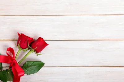 Обработка роз, баковая смесь ☺️☺️☺️ | Розы Кавказа🌹🌹🌹 | Дзен
