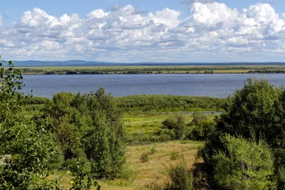 Хабаровский край — Википедия