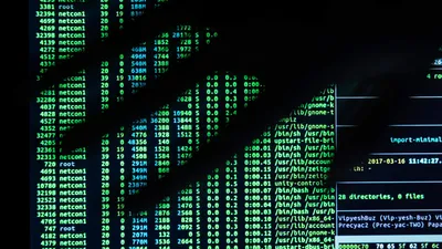 Стань белым хакером: запишись на ИТ-курс по кибербезу :: Министерство  цифрового развития, связи и массовых коммуникаций Российской Федерации