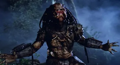 Виниловая наклейка на автомобиль - Alien vs Predator | Чужой против Хищника  (ID#1307496523), цена: 85 ₴, купить на Prom.ua
