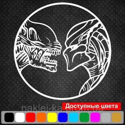 Хищник и охотница: опубликованы новые кадры приквела «Хищника»