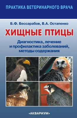 Хищные птицы в ландшафтах Северной Евразии: Современные вызовы и тренды