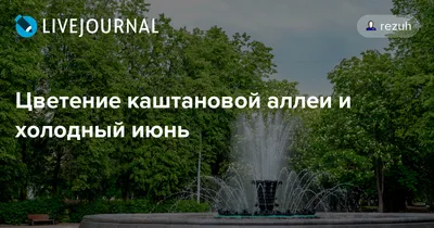 Холодный июнь. Прогноз погоды от синоптиков в Костанае и области | Алау ТВ