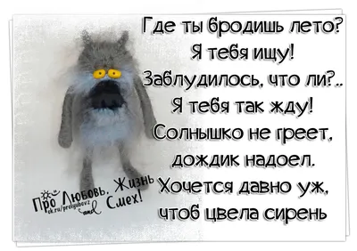 Эксперты рассказали, как холодный июнь скажется на урожае дачников Коми |  АиФ-Коми | Дзен