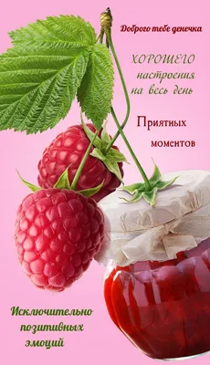 Всем доброе утро! Хорошего настроения на весь день! — Дневник добрых дел