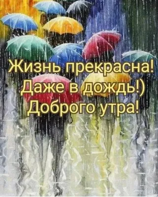 Чем заняться, когда на улице дождь? - Интересно - Статьи - Сетевое издание  «ПокачиИнформ»