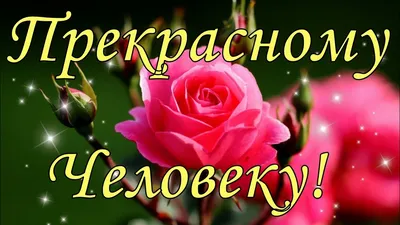 Шоколадка \"ХОРОШЕМУ ЧЕЛОВЕКУ\"