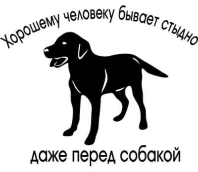 Конверт для денег \"Просто хорошему человеку\" : купить в интернет-магазине —  OZ.by