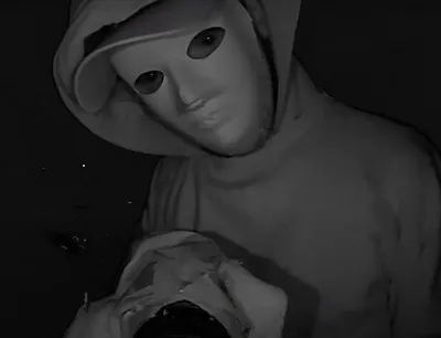 грабитель в балаклаве воровка в черной маске лица Иллюстрация штока -  иллюстрации насчитывающей дом, человек: 274359585