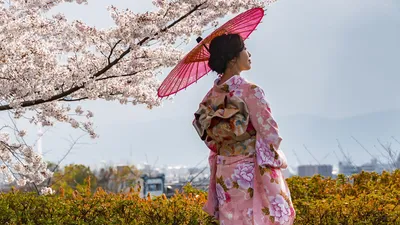 Кимоно женской одежды японское на улице Редакционное Изображение -  изображение насчитывающей япония, киото: 150479555