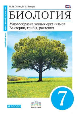 Русский язык. Азбука. 1 класс. Электронная форма учебника. В 2 ч. Часть 1  купить на сайте группы компаний «Просвещение»