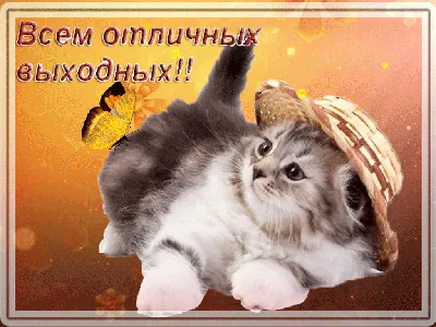 Друзья, всем классных выходных! — Юлия Донская на TenChat.ru