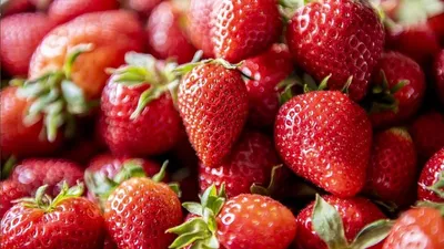 Удобрение для клубники для крупных и сладких ягод | РБК Украина