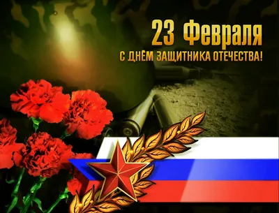 Владимир Солодов: День защитника Отечества приобрёл совершенно особое  значение для каждого жителя Камчатки и страны