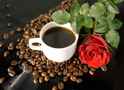 Кофе и розы стоковое фото. изображение насчитывающей пук - 49258774