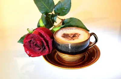 Картинки кофе и розы фотографии