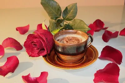Кофе Роза Чашка - Бесплатное фото на Pixabay - Pixabay