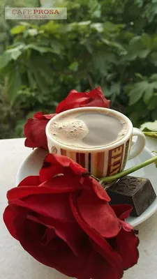 Кофе и розы, утро, дача» — создано в Шедевруме