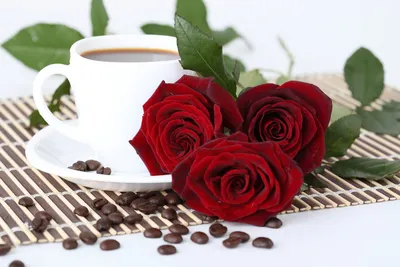 Гвоздики, розы, кофе раскраска по номерам купить в Владивостоке