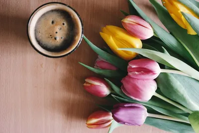 Свежие красные тюльпаны с лентой и чашкой кофе стоковое фото ©karandaev  46238643
