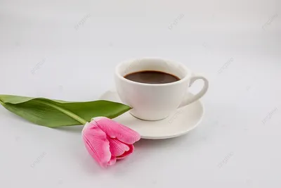 Картинки Кофе Зефир белая Тюльпаны Цветы вазе Чашка Ложка 1281x1920