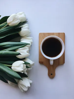 Утренний кофе и тюльпаны стоковое изображение. изображение насчитывающей  жизнь - 212952359