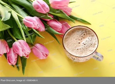 Красивый тюльпан кофе чистый белый обои для рабочего стола фотография Фон И  картинка для бесплатной загрузки - Pngtree