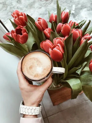 Букет тюльпанов и кофе - 67 фото