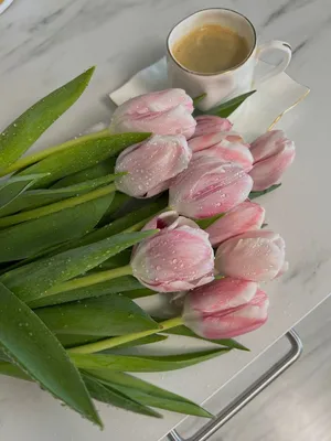 Букет красивых тюльпанов и чашка кофе на цветном фоне :: Стоковая  фотография :: Pixel-Shot Studio
