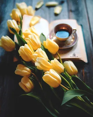 Картина по номерам на дереве \"Кофе и тюльпаны\" 30*40 см (ID#1860423192),  цена: 385 ₴, купить на Prom.ua