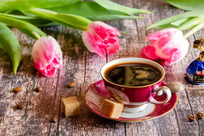 Доброе утро, нежные тюльпаны …» — создано в Шедевруме