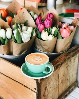 Букет из красивых тюльпанов, бумага с текстом доброе утро и чашка кофе на  цветном фоне :: Стоковая фотография :: Pixel-Shot Studio