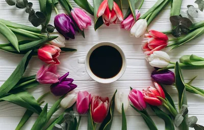Чашка кофе и белые тюльпаны Stock Photo | Adobe Stock