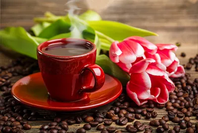 Чашка кофе | Кофе, Тюльпаны, Чашка кофе