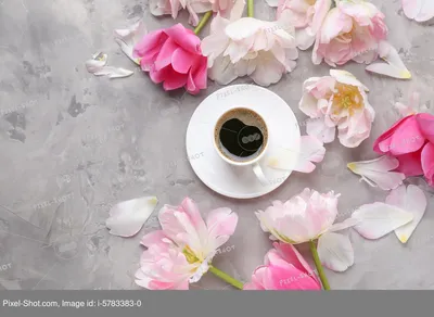 Обои кофе, тюльпаны, весна, интерьер картинки на рабочий стол, фото скачать  бесплатно