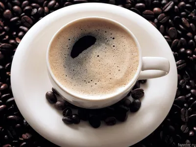Сколько стоит чашка кофе: из зерен, капсул, банки | ichip.ru