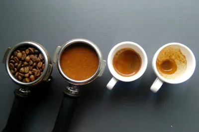 Логотип / фирменный стиль для кофейни Coffee State — Dprofile