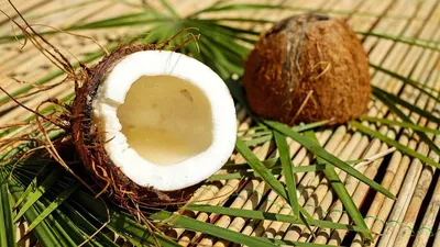 Половина кокоса изолированная на белой предпосылке Стоковое Фото -  изображение насчитывающей тропическо, изображение: 48550054