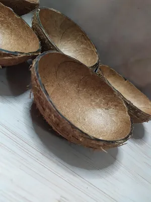 Губная помада гигиеническая с экстрактом кокоса купить в Чите Прочее в  интернет-магазине Чита.дети (9457762-2)