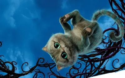 Новая серия игры для кошек, котов и котят! На экране шустрые мышки бегают  для вашей кошки! - YouTube