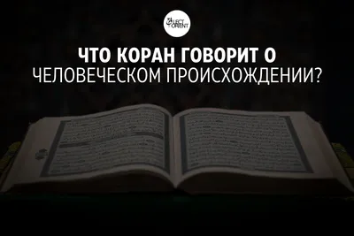 Организатор акций с сожжением Корана подвергся нападению в пригороде  Стокгольма - СМИ - 21.08.2023, Sputnik Армения