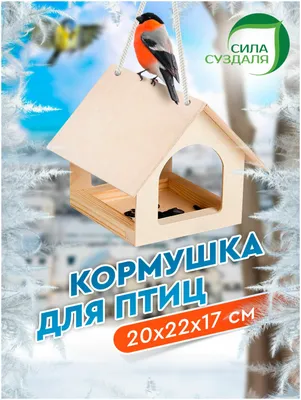 Оригинальные кормушки для птиц - Блог Никодима