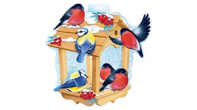 Картинки кормушек для птиц фотографии